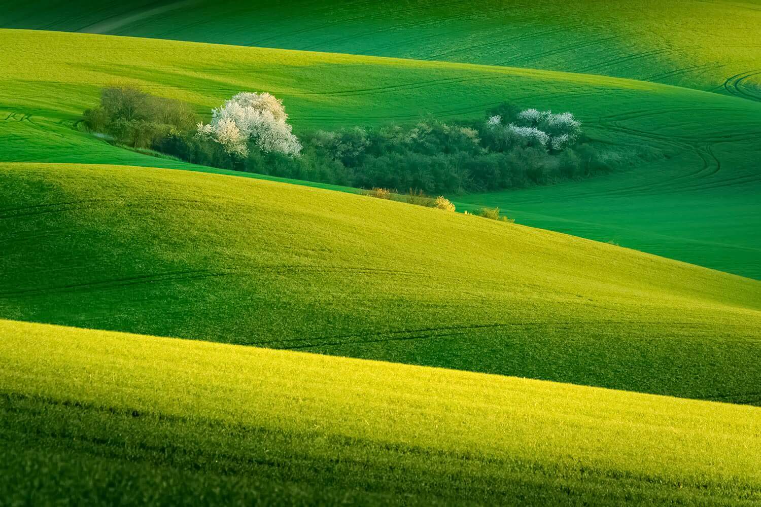 Moravian Tuscany