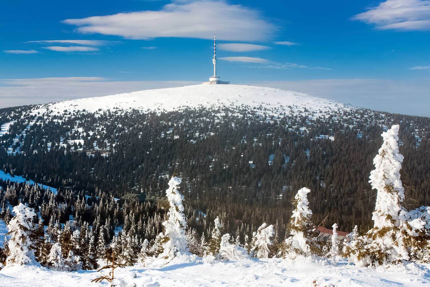 Praděd - Mountain in Jeseníky Mountains, Czechia