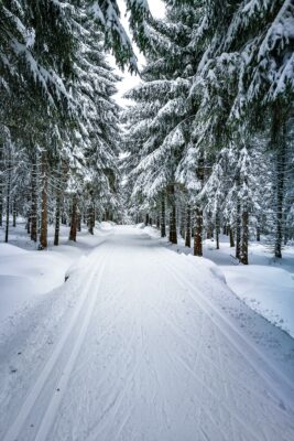 Cross-country Skiing in the Jizera Mountains - Day Trips from Prague