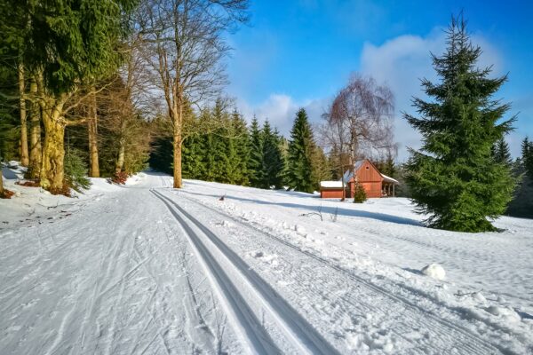 Cross-country Skiing in the Jizera Mountains - Day Trips from Prague