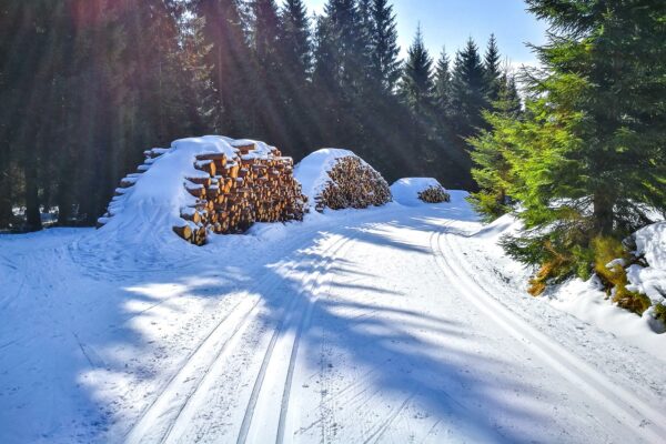 Cross-country Skiing in the Jizera Mountains - Day Trips from Prague