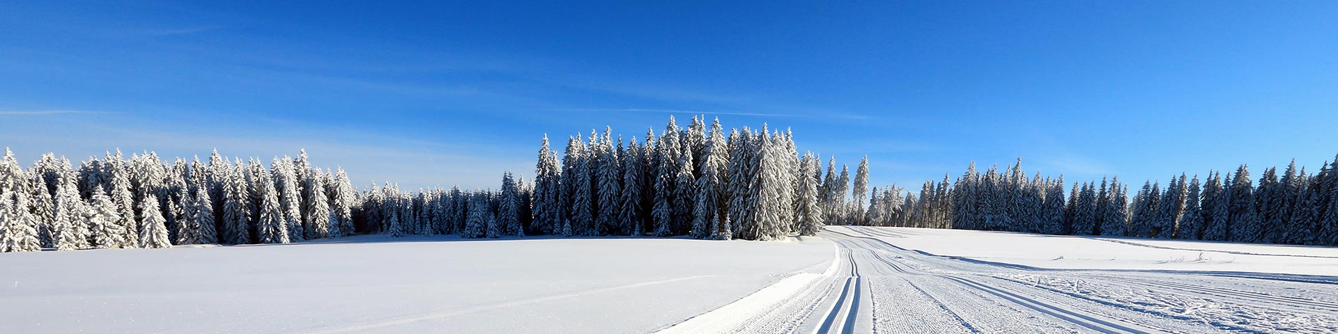 Cross-country Skiing in the Jizera Mountains - Day Trips from Prague