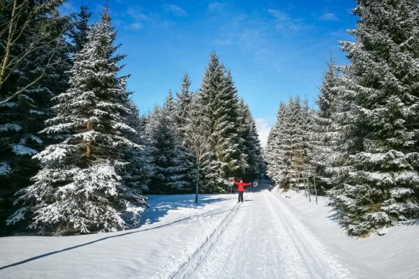 Cross-country Skiing in the Jizera Mountains - Day Trips from Prague