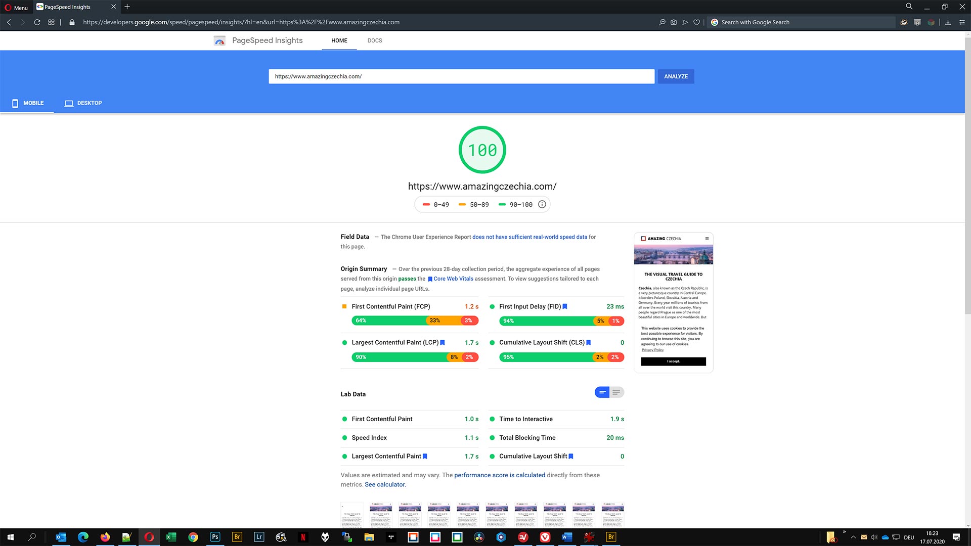 Google PageSpeed Insights Score