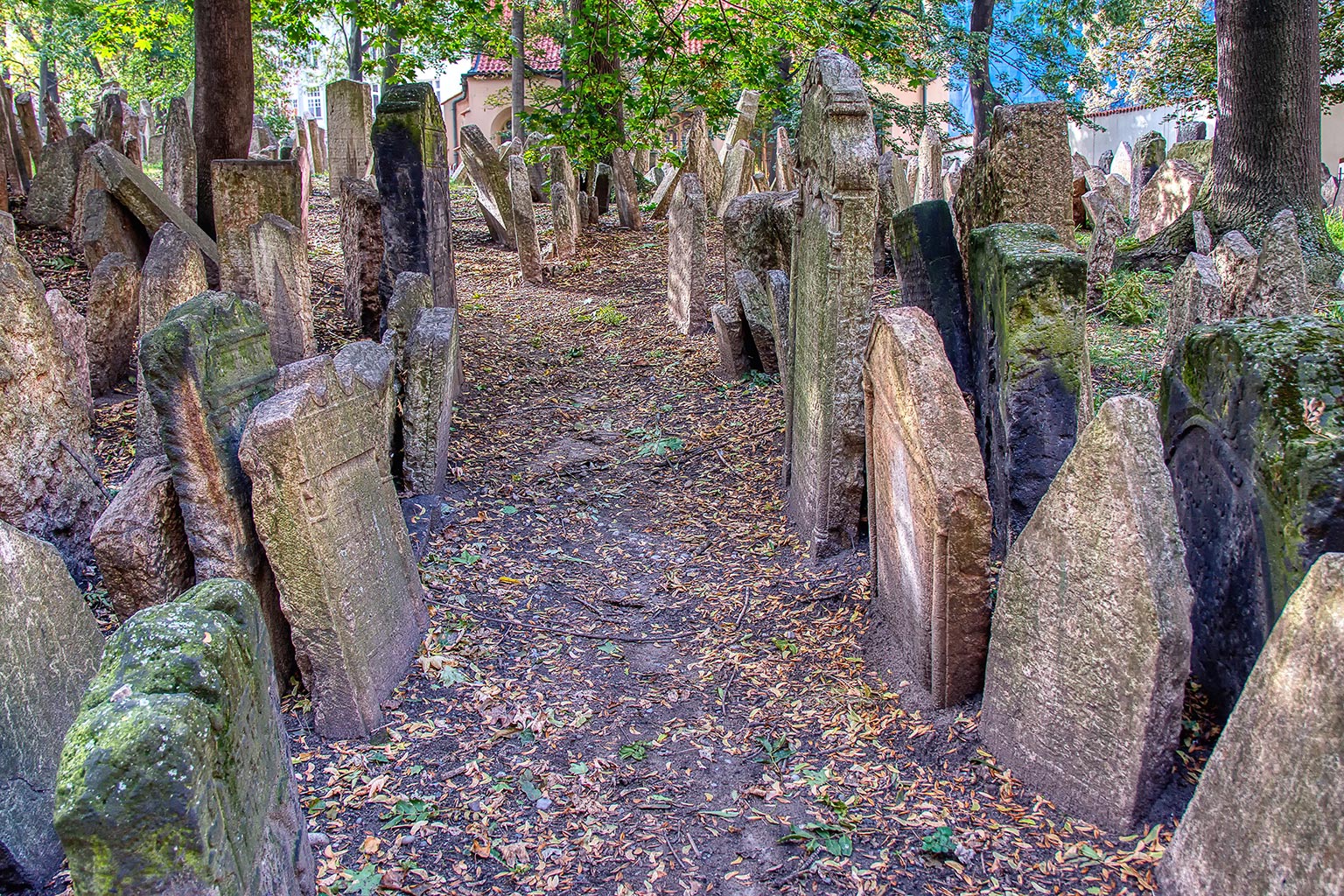 Tombstones on Old Jewish Cemetery in the Jewish Quarter in Prague.